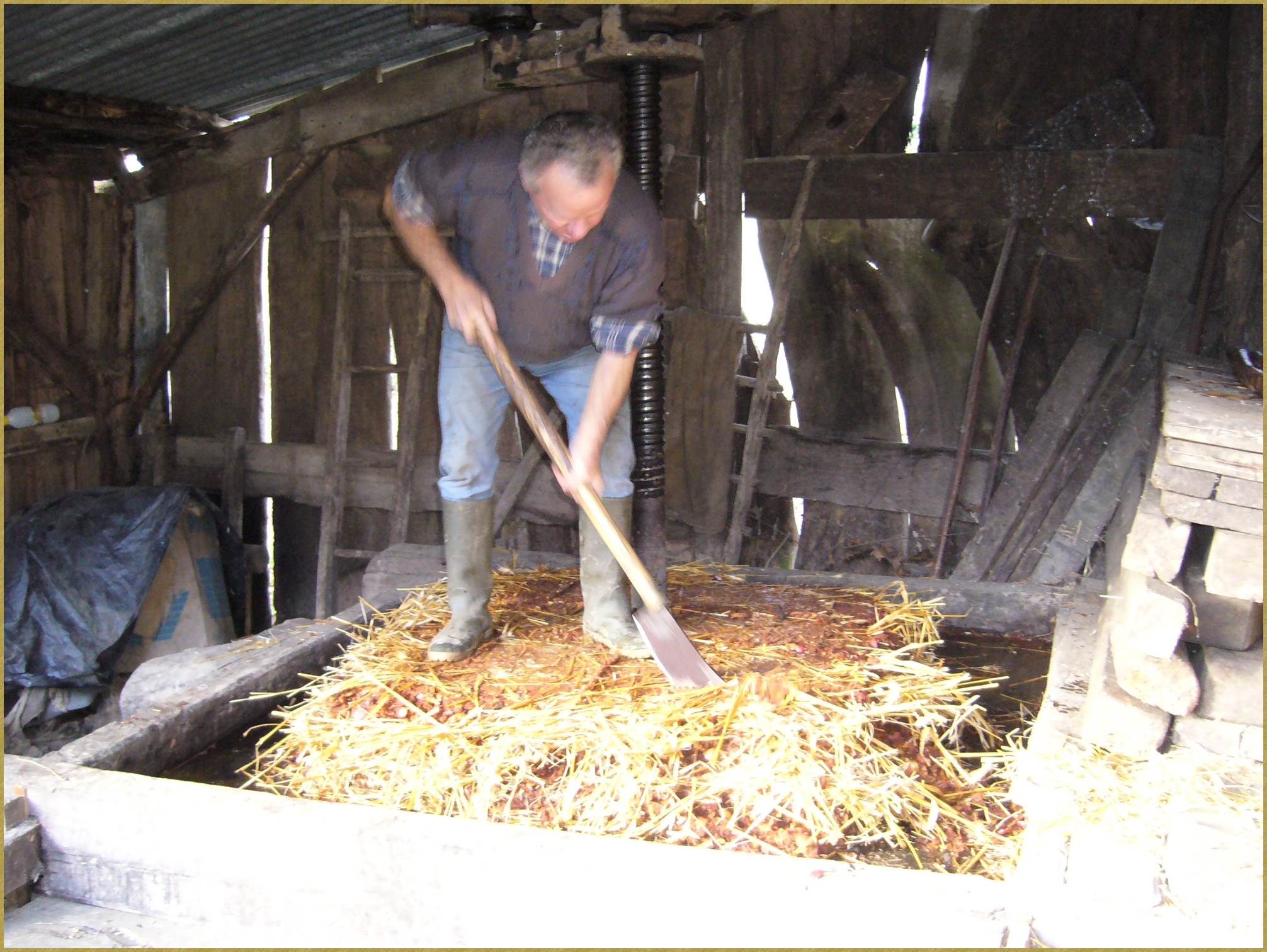 Fabrication du cidre -                            